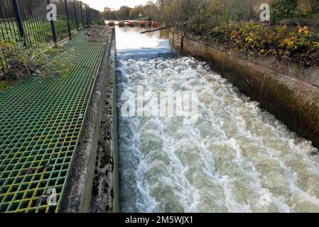 Sprotbrough et Warmsworth Fish and Eel Pass sur la rivière Don, en face de Boat Inn, Sprotbrough, Doncaster, South Yorkshire, Angleterre, Royaume-Uni Banque D'Images