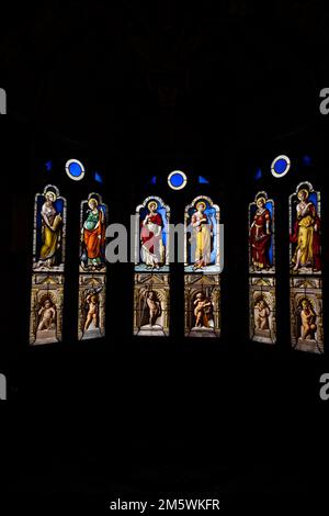 Vitraux de saints, dans l'Oratoire, chapelle privée de Catherine de Médicis dans le château de Blois. Décoration du 16th siècle à Renaissan Banque D'Images