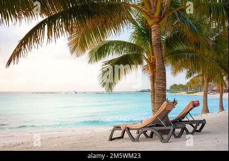 Chaises longues sous les palmiers à noix de coco, côte des Caraïbes du Mexique. Banque D'Images