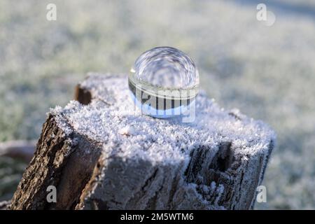 Une boule de cristal assise sur une souche enneigée d'un cerisier tombé, reflétant le paysage environnant, à l'envers, le temps, le froid, la neige, glace Banque D'Images