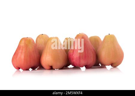 Pommes de rose isolées sur fond blanc. Banque D'Images