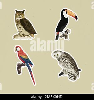 Autocollant à motif oiseaux vintage assorti vectorisé avec bordure blanche Illustration de Vecteur