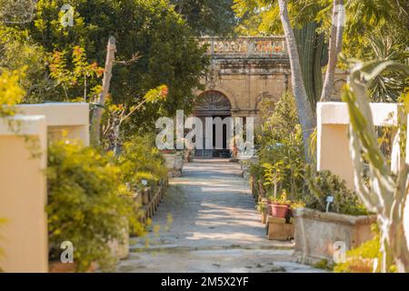 Jardins universitaires d'Argotti à la Valette, Malte, par une journée ensoleillée. Vue sur une rangée de plantes et un bâtiment avec portes à l'arrière. Banque D'Images