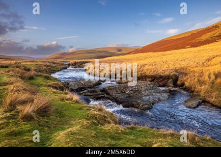 La rivière Elan traverse la vallée d'Elan, Powys, pays de Galles Banque D'Images