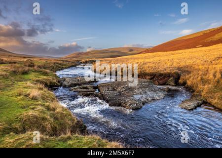 La rivière Elan traverse la vallée d'Elan, Powys, pays de Galles Banque D'Images