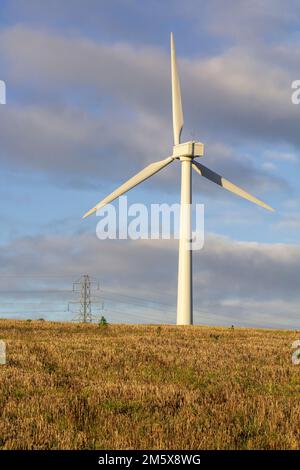 Une éolienne moderne à zéro emmissions située sur la route de Newtownards à Dundonald et placée sur le fond des pylônes et des câbles traditionnels t Banque D'Images