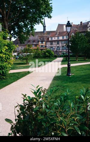 Un cliché vertical des beaux bâtiments de la ville d'un parc verdoyant à Colmar, en France Banque D'Images