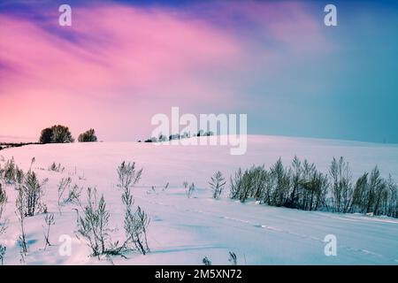 Terrain vallonné recouvert de neige. Paysage rural d'hiver enneigé au coucher du soleil avec ciel coloré Banque D'Images