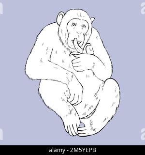 Vecteur vintage singe noir et blanc clipart Illustration de Vecteur