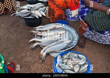 Pêchez sur le marché local du port fluvial à Ziguinchor, Sénégal du Sud, Afrique de l'Ouest Banque D'Images