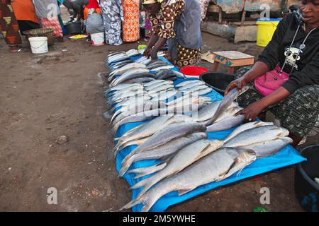 Pêchez sur le marché local du port fluvial à Ziguinchor, Sénégal du Sud, Afrique de l'Ouest Banque D'Images