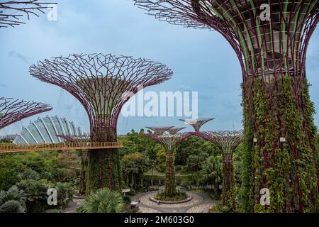 Singapour, Singapour 30 août 2022, vue de l'OCBC Skyway du Supertree Grove et du Flowerdome Banque D'Images