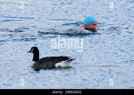 Un homme prend une baignade tôt le matin le jour de l'an au Serpentine à Londres. Date de la photo: Dimanche 1 janvier 2023. Banque D'Images