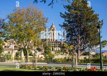 Fleurs sur la place Reina en face de la cathédrale de Ségovie, Espagne Banque D'Images