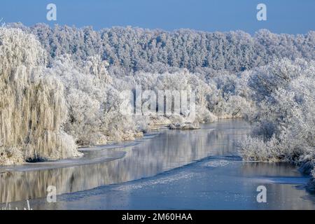 Paysage fluvial avec des hivers et de la glace, Eder, Guxhagen, Hesse, Allemagne Banque D'Images