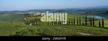 Domaine Agriturismo Baccoleno avec cyprès (Cupressus) avenue au coucher du soleil, Asciano, Crete Senesi, Sienne, Toscane, Italie Banque D'Images