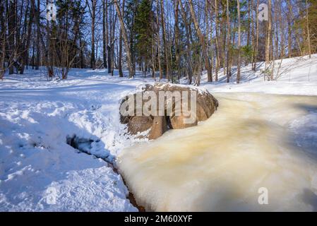 PETERHOF, RUSSIE - 05 MARS 2018 : sculpture surgelée 'Head' ('la culture à la source', XVIII - début XIX siècle) par un sculpteur inconnu dans le parc o Banque D'Images