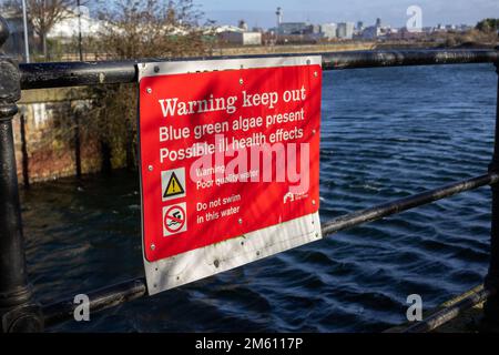 Birkenhead, Royaume-Uni : panneau d'avertissement, Morpeth Dock. Présence d'algues bleu-vert. Effets nocifs possibles sur la santé. Eau de mauvaise qualité. Ne nagez pas. Banque D'Images
