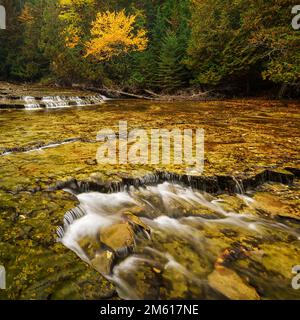 Automne aux chutes du train au dans la péninsule supérieure du Michigan Banque D'Images