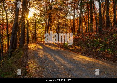 Le soleil brille à travers la forêt d'automne dans le parc national de Great Smoky Mountain, dans le Tennessee Banque D'Images
