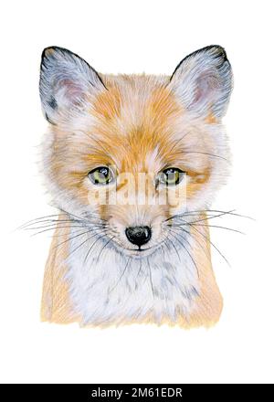 Illustration aquarelle d'un portrait de renard roux de bébé. Animal dessiné à la main sur blanc Banque D'Images