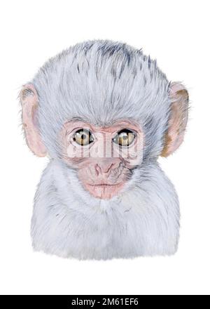 Illustration aquarelle d'un portrait de singe bébé. Animal dessiné à la main sur blanc Banque D'Images