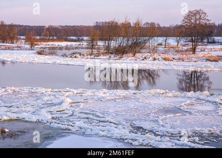 Rivière sur glace et floe flottant lors d'une journée hivernale ensoleillée et glaciale. La rive est couverte d'arbres et de buissons. Banque D'Images