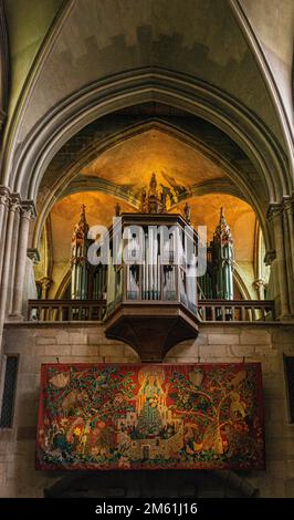 Tuyaux d'orgue à l'intérieur de la cathédrale notre-Dame de Paroissie à Dijon, France Banque D'Images