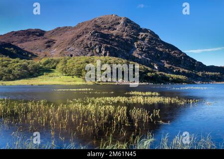 Llyn MCG Bychan et Carreg y Saeth, MCG Bychan, Rhinogydd, parc national de Snowdonia, pays de Galles du Nord, ROYAUME-UNI Banque D'Images