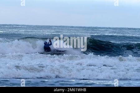 Dunbar, Royaume-Uni. 01st janvier 2023. Nageurs, surfeurs et kayakistes sauvages, jouent dans les vagues déferlantes à Belhaven Bay le dimanche 01 janvier 2023, une augmentation récente de la joie de la natation en eau libre a augmenté la foule sur les livres annuels du jour de l'an, mais ces surfeurs endurcis, ne mouillaient pas pour braver les températures hivernales et les vents off shore. ( Credit: Rob Gray/Alamy Live News Banque D'Images