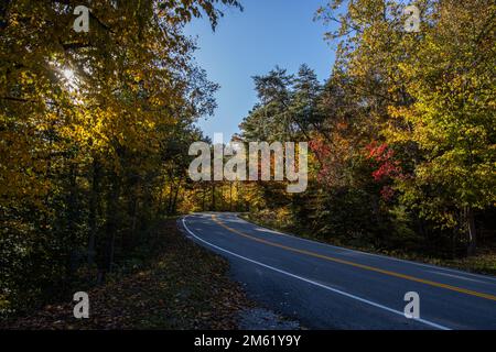 Feuillage d'automne dans les montagnes boisées dans le centre des Appalaches. Banque D'Images