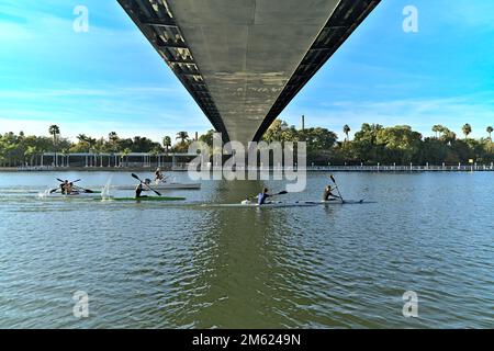 Un groupe de pagayeurs sur le fleuve Guadalquivir à Séville Banque D'Images