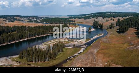 Vue aérienne sur les forêts du parc national de Yellowstone. Banque D'Images