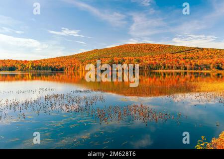 Réservoir de Pontook sur la rivière Androscoggin en automne. Dummer. Comté de Coos. New Hampshire. ÉTATS-UNIS Banque D'Images