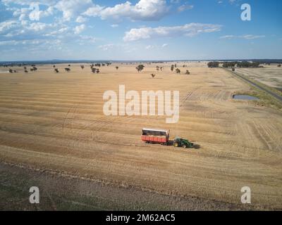 Récolte de blé champ vue aérienne montrant les machines agricoles avec arbres et ciel bleu. Victoria, Australie. Banque D'Images