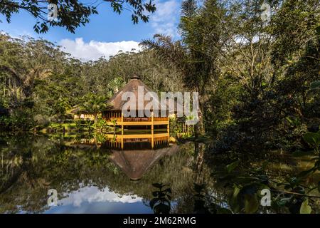 Auberge forestière Vakona dans le parc national d'Andasibe-Mantadia, est de Madagascar, Afrique Banque D'Images