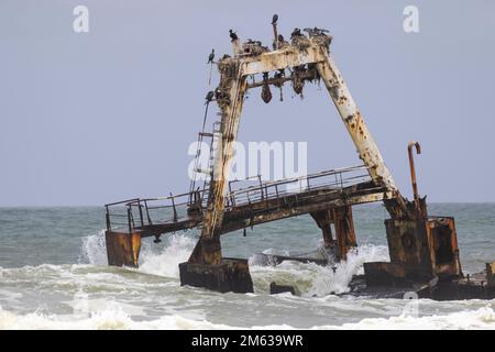 De nombreux cormorans assis sur un naufrage abandonné de navire Zeila toronné sur la côte de Skeleton près de Swakopmund en Namibie Banque D'Images