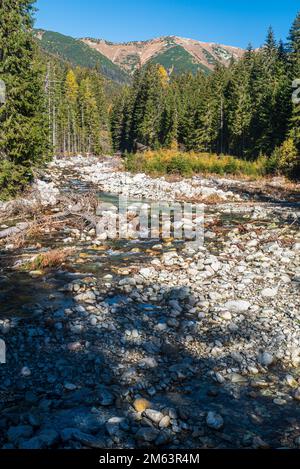 Koprova dolina vallée avec Koprovsky potok rivière, forêt et crête de montagne Liptovsky kopy au-dessus en automne Tatra montagnes en Slovaquie Banque D'Images