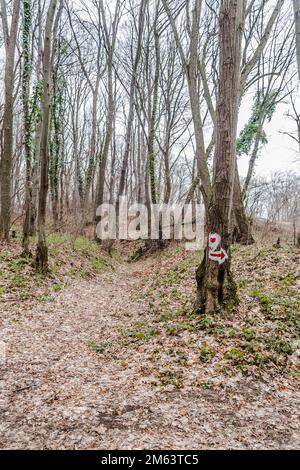 Vue sur la forêt de feuillus du parc national de Fruska Gora, situé à Voïvodine, en Serbie, non loin de la ville de Novi Sad. Banque D'Images