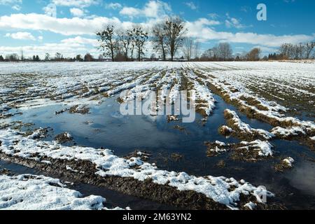 Eau et neige sur un champ rural, vue sur un clair jour d'hiver, l'est de la Pologne Banque D'Images