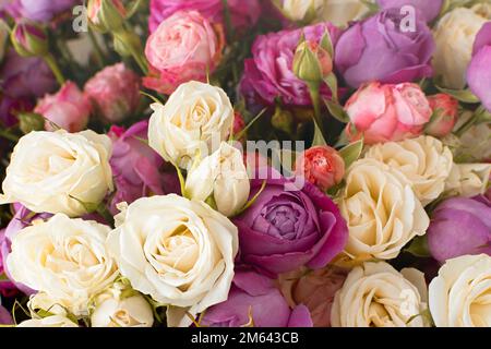 Fond rose violet blanc roses. Vue de dessus d'un grand beau bouquet dans différentes poses. Le concept de la Saint-Valentin jour, mariage, anniversaire. Naturel Banque D'Images