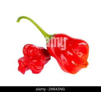 Piments rouges mûrs isolés sur fond blanc. Capsicum baccatum ou poivre de la couronne de Bishop Banque D'Images