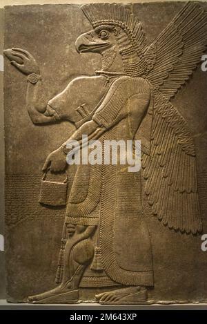 Panneaux sculptés à faible relief, sculptures du palais assyrien, Metropolitan Museum of Art, New York City, États-Unis Banque D'Images