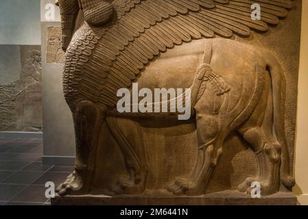 Bull ailé (ou Lion) à la tête humaine qui servait de porte d'entrée au palais, Sculptures du palais assyrien, Metropolitan Museum of Art, New York City, États-Unis Banque D'Images