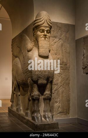 Bull ailé (ou Lion) à la tête humaine qui servait de porte d'entrée au palais, Sculptures du palais assyrien, Metropolitan Museum of Art, New York City, États-Unis Banque D'Images