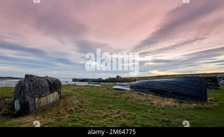 Des bateaux de hareng retourné utilisés comme hangars de stockage sur l'île de Lindisfarne, la côte de Northumberland nord de l'Angleterre, Royaume-Uni, GB. Banque D'Images