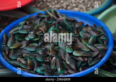 Moules vertes exposées et vendues sur le marché traditionnel, en Indonésie. Banque D'Images