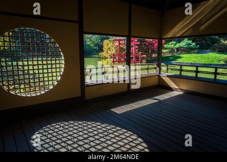 Japanese Hill-and-Pond Garden, Brooklyn Botanic Garden, fondé en 1910, New York City, États-Unis Banque D'Images