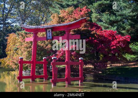 Japanese Hill-and-Pond Garden, Brooklyn Botanic Garden, fondé en 1910, New York City, États-Unis Banque D'Images