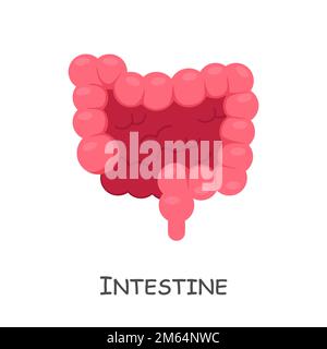 Intestin de l'homme . Dessin animé . Isolé . Vecteur . Illustration de Vecteur